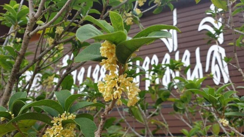 Hotel Baan Hom Muen Li