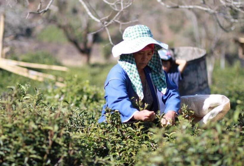 Hotel Baan Hom Muen Li