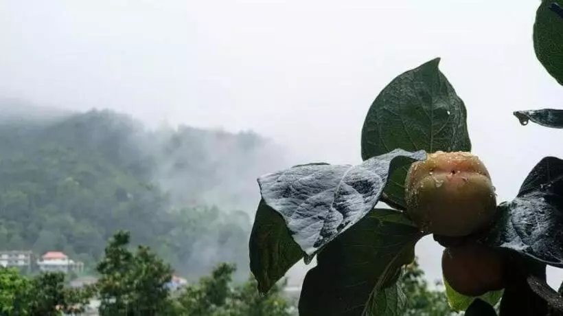 هتل Baan Hom Muen Li