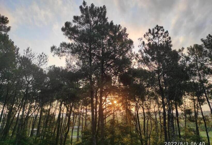 فندق Kartuli Suli