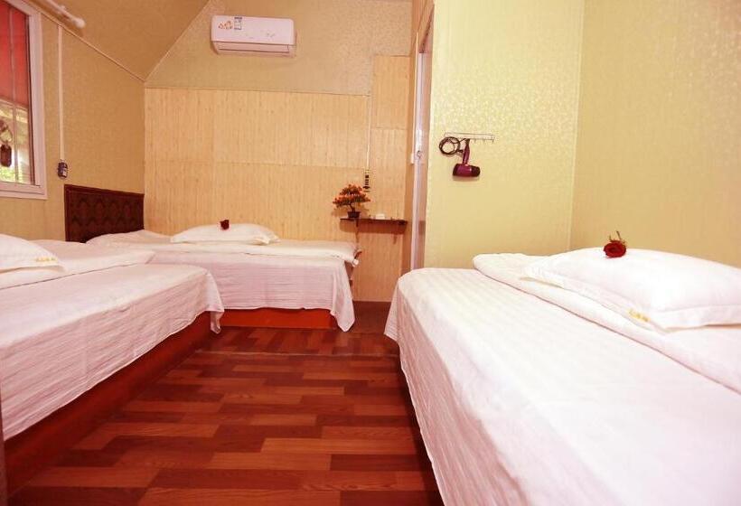 Пансион 武当山仙山旅馆景区内店