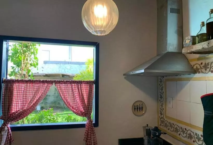 ユースホステル Pousada Casa Tatuamar 150 M Da Praia