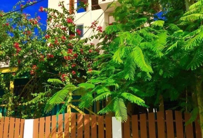 تختخواب و صبحانه Yocamatsu