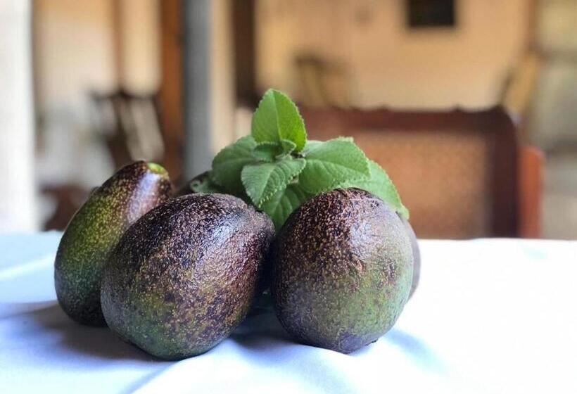 هتل Casa De Los Berrios