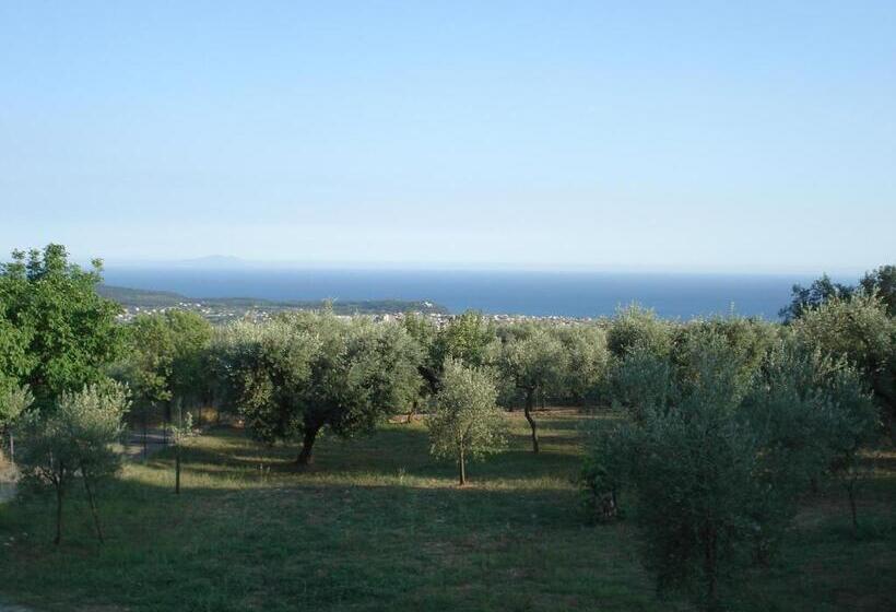 تختخواب و صبحانه Globetrotter