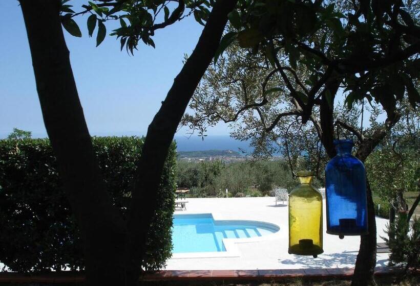 تختخواب و صبحانه Globetrotter