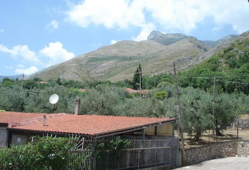 تختخواب و صبحانه Globetrotter