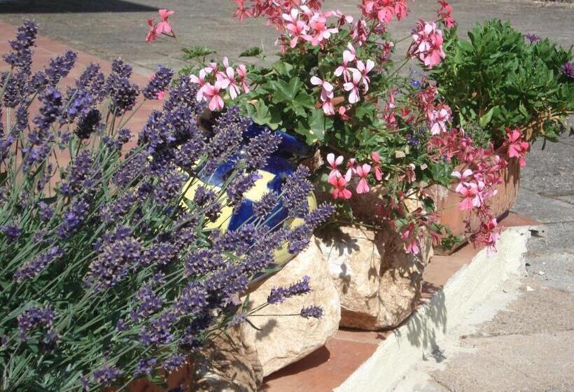 تختخواب و صبحانه Globetrotter