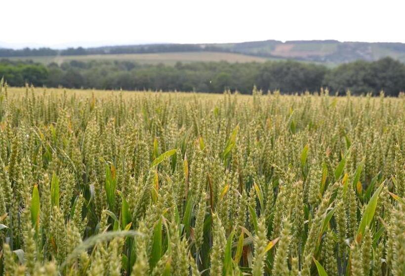 민박 La Ruelle Au Verjus