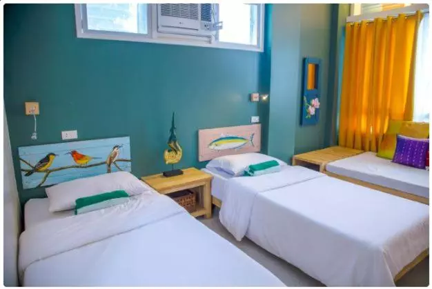 Flotsam And Jetsam Artist Beach Hostel