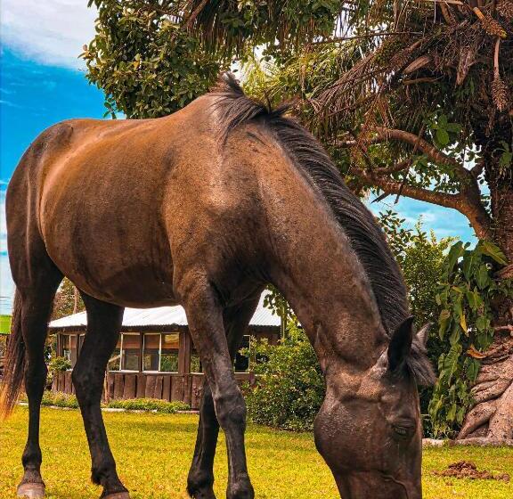 فندق Pousada São João Estrada Parque Pantanal