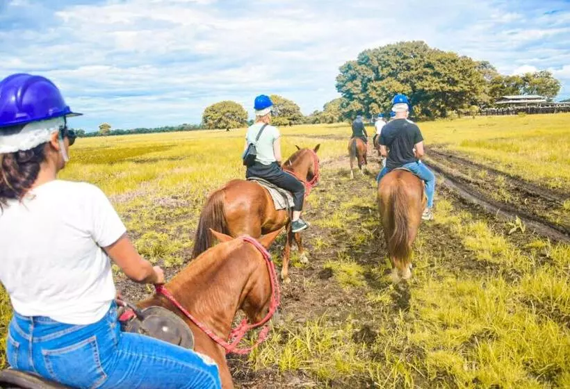 ホテル Pousada São João   Estrada Parque Pantanal