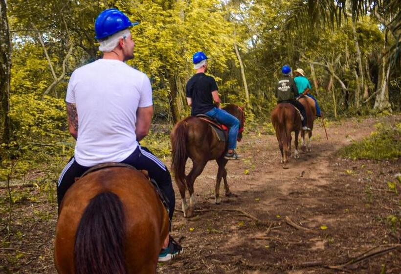 فندق Pousada São João Estrada Parque Pantanal