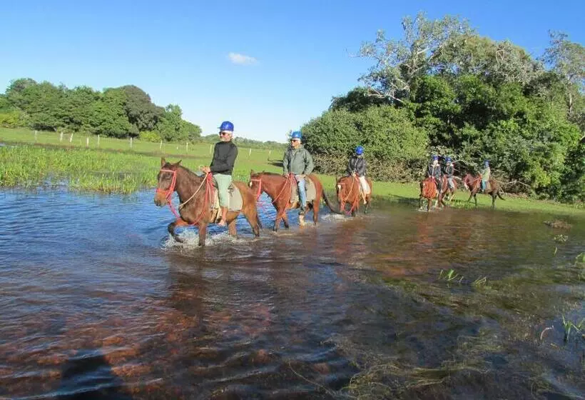ホテル Pousada São João   Estrada Parque Pantanal