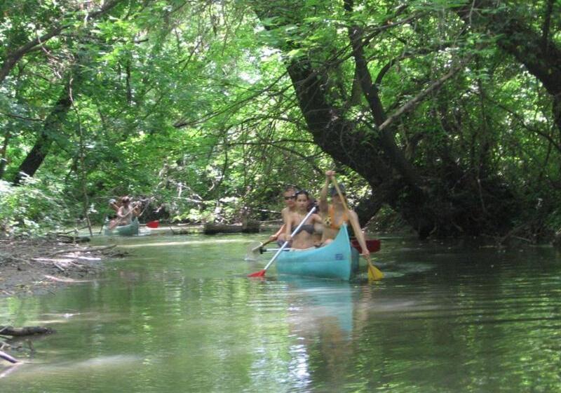 פנסיון Palócföld Vendégház