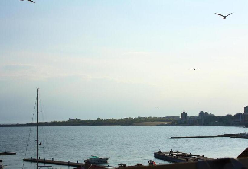 בית מלון כפרי Rony