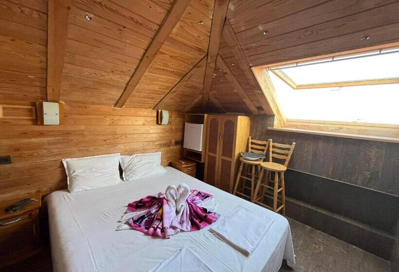 בית מלון כפרי Rony