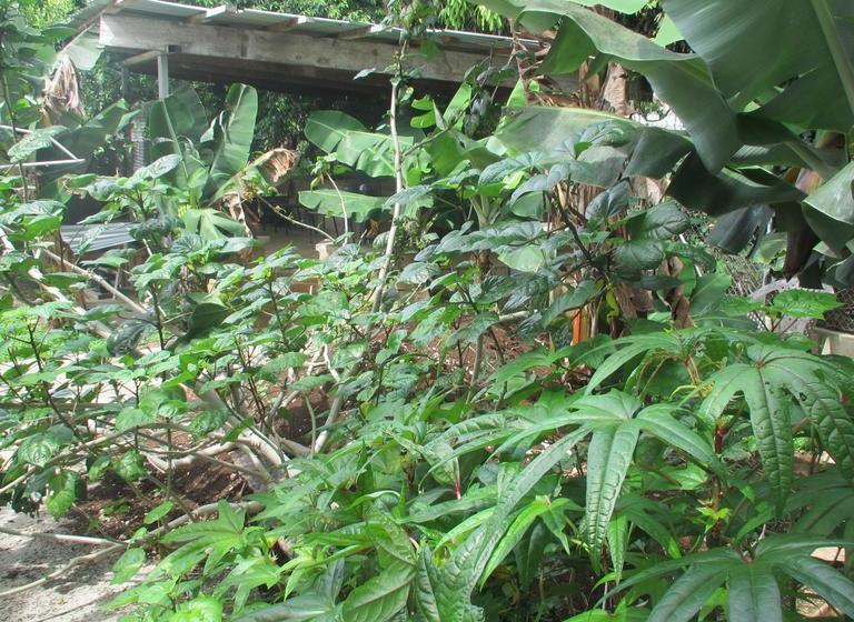 تختخواب و صبحانه Tuna S Lodge