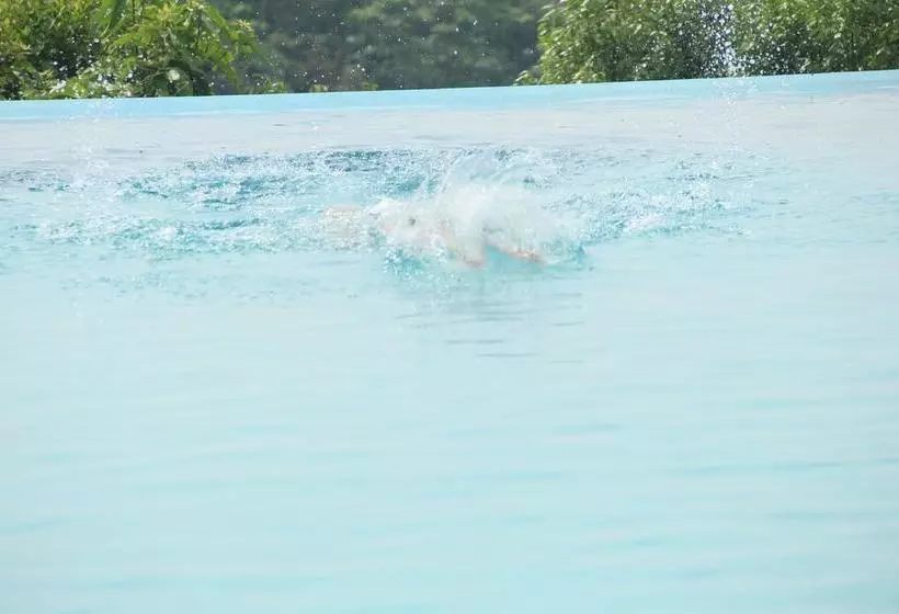 ホテル Bogala Village Eco Resort