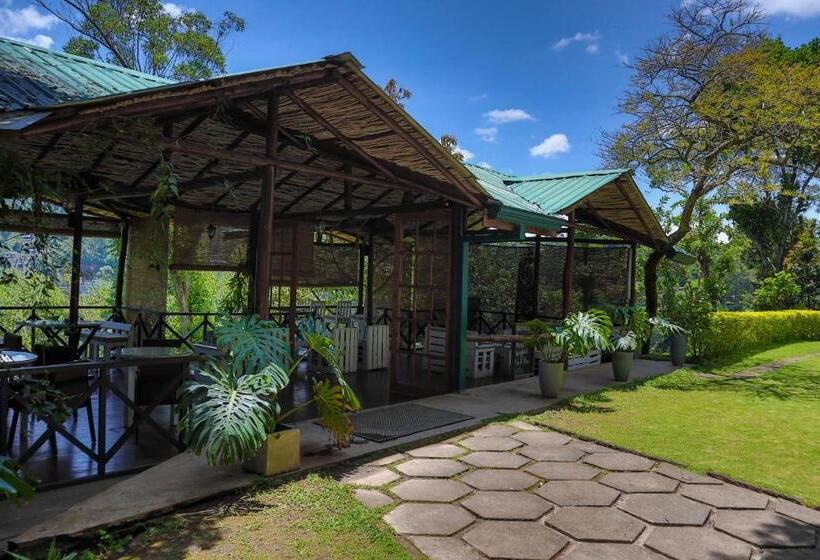 هتل Homies Place   Bistro