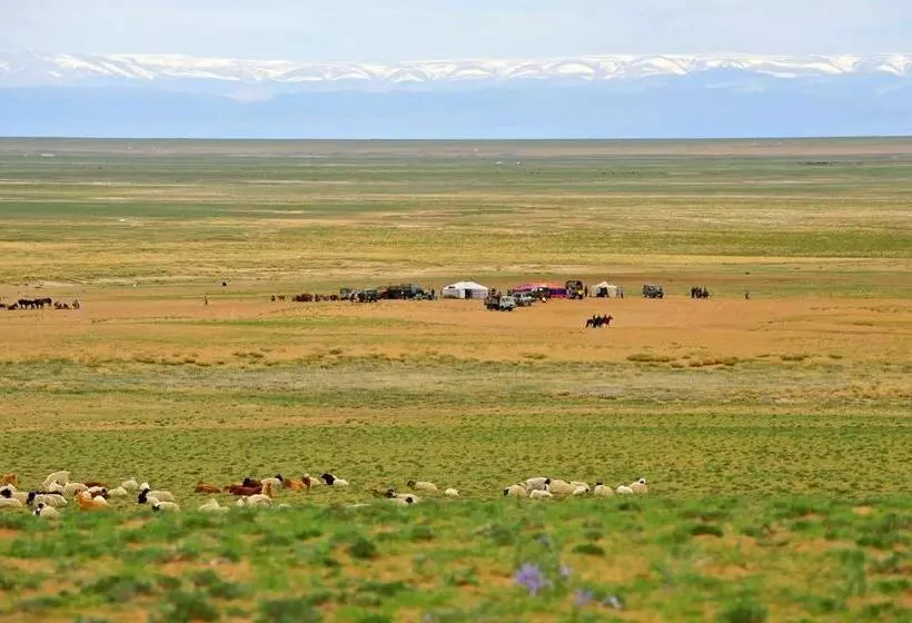 هاستل Adventure Riders Mongolia