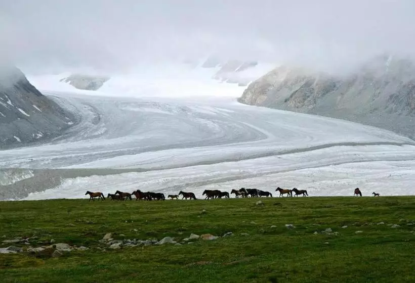 هاستل Adventure Riders Mongolia