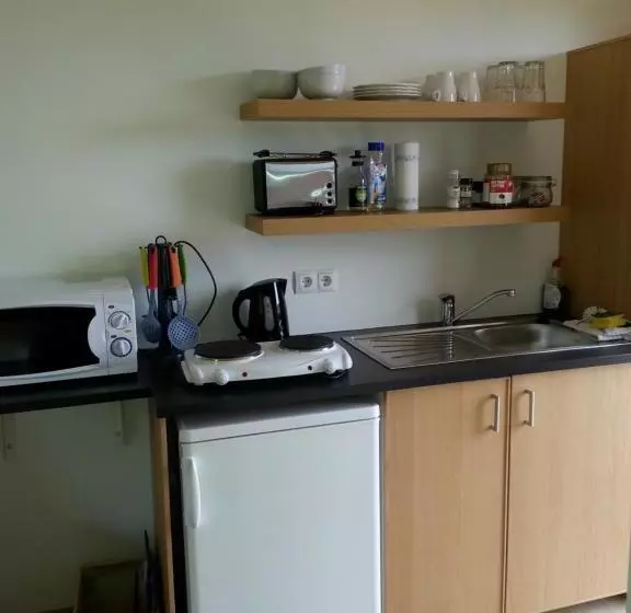 تختخواب و صبحانه Guesthouse Hvitafell