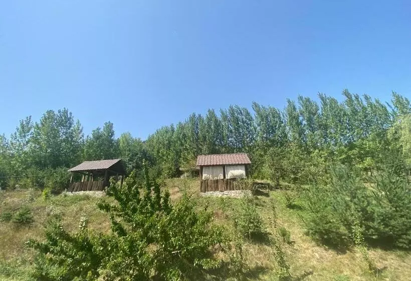 Hotell Nirvana