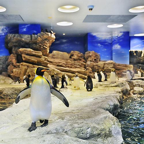 Smile Hotel Shimonoseki