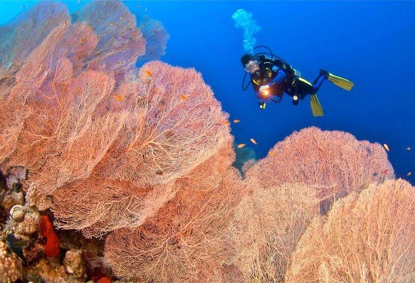 Amarina Abu Soma Resort & Aquapark