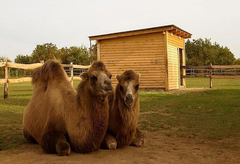 Bed and Breakfast Napsugár Apartmanház