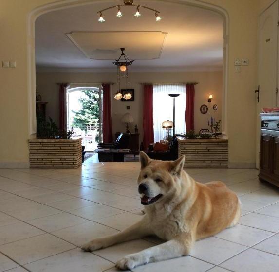 Bed and Breakfast Villa Kalman Pansio