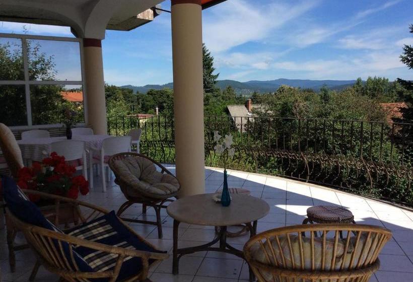 Bed and Breakfast Villa Kalman Pansio