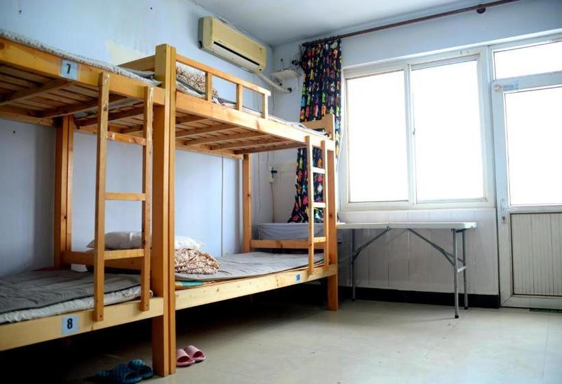 First Met Backpackers Hostel