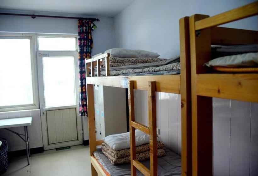 First Met Backpackers Hostel