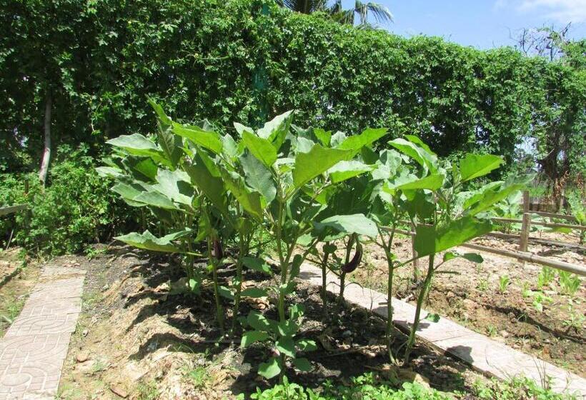 فندق Phoumrumduol Bungalow