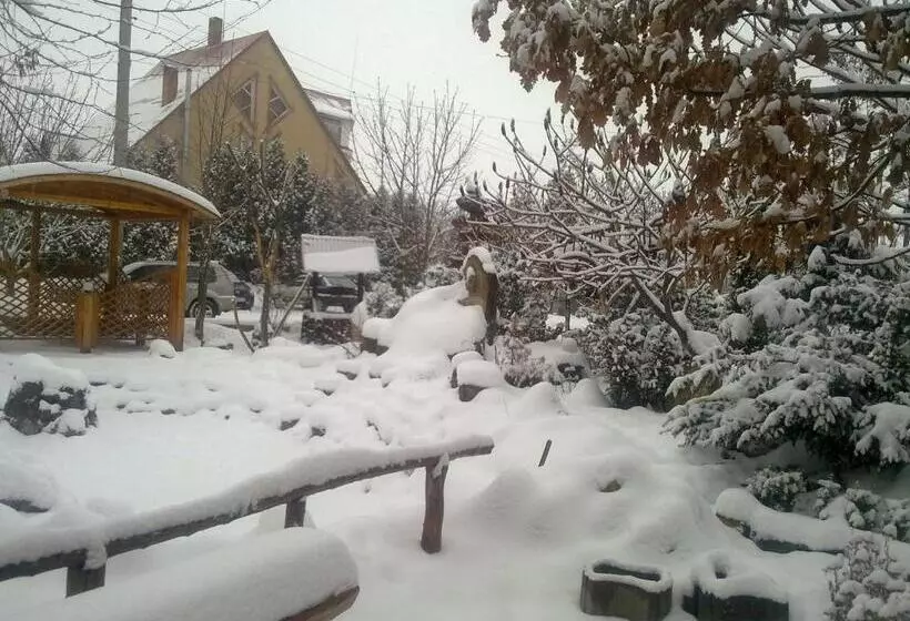 هتل Zabava Guest House