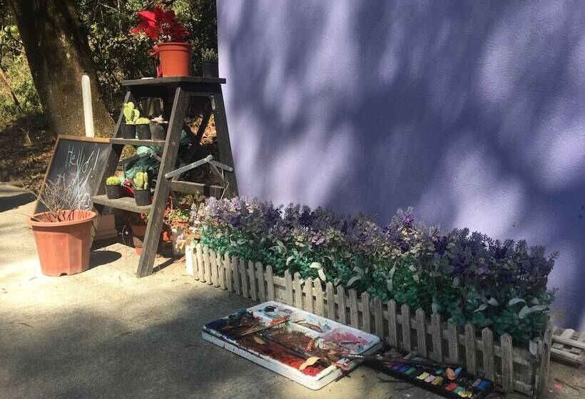 Yha Ngong Ping Sg Davis Youth Hostel