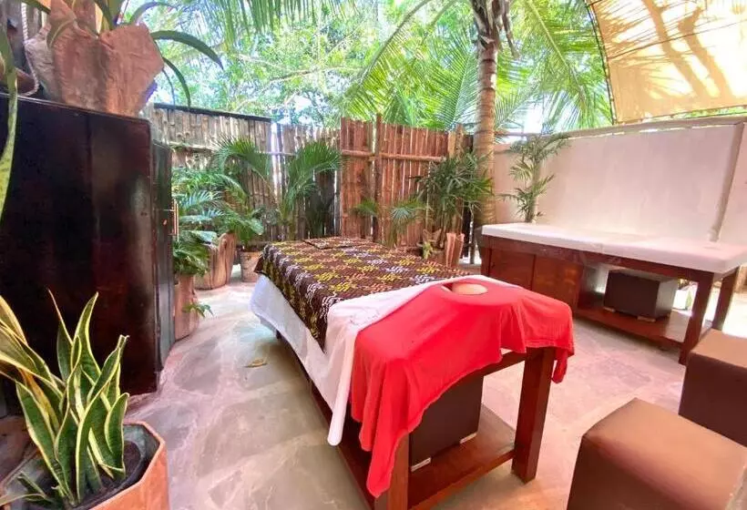 تختخواب و صبحانه Soul Breeze Beach Resort