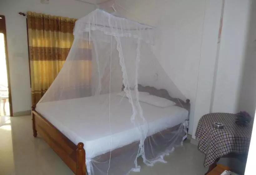 ベッドアンドブレックファースト Bloom Guest House