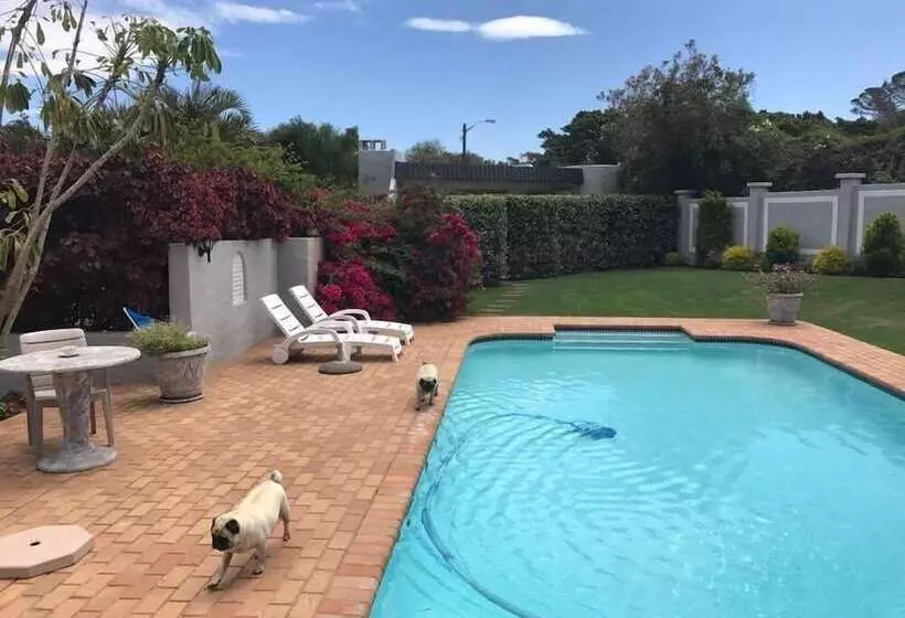 تختخواب و صبحانه Pug And Putter