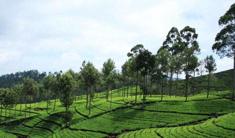 Hill Cool Hotel & Restaurant