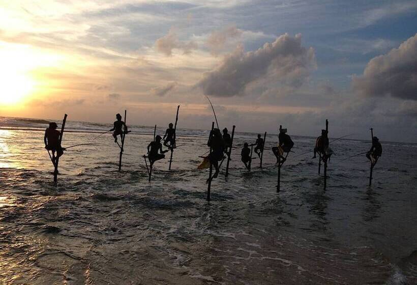 فندق Crystal Oceanic