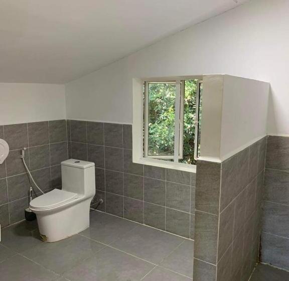 هاستل Nest Beach Club