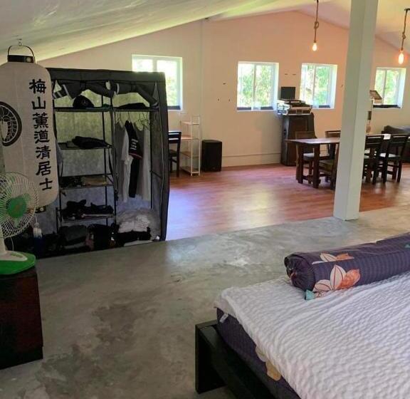 هاستل Nest Beach Club