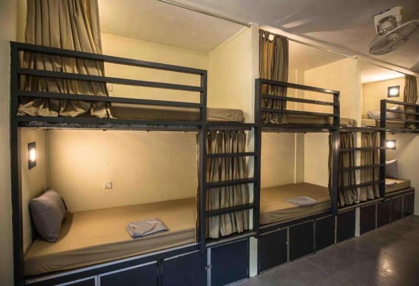 هاستل Nest Beach Club