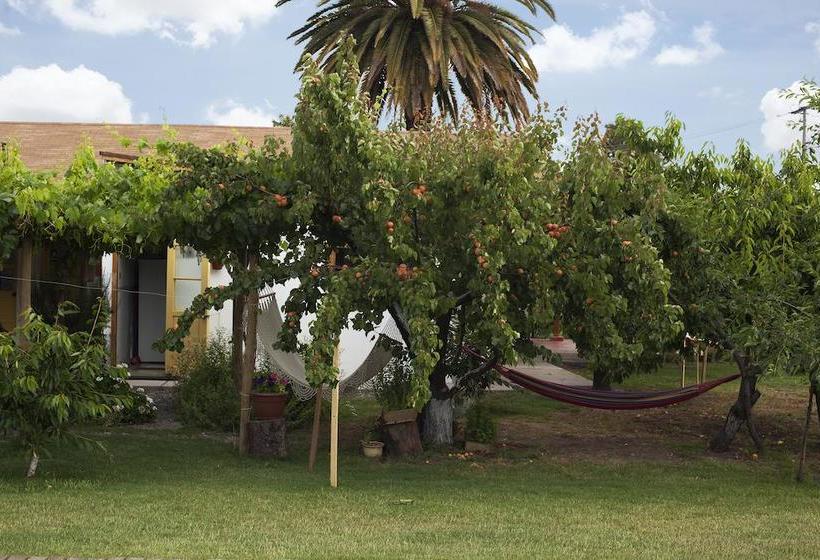 تختخواب و صبحانه Casa Pando