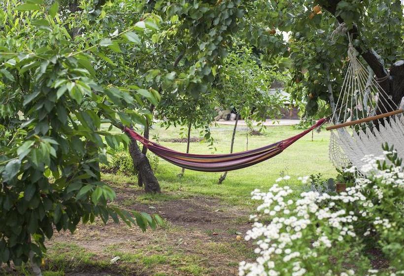 تختخواب و صبحانه Casa Pando