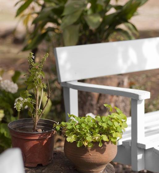 تختخواب و صبحانه Casa Pando