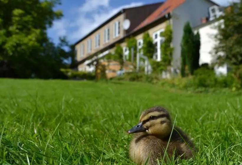 Det Gamle Apotek Bed & Breakfast